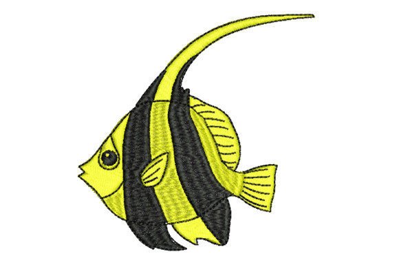 Clownfish As Pet: A Designer's Review for Boutique Sweatshirts